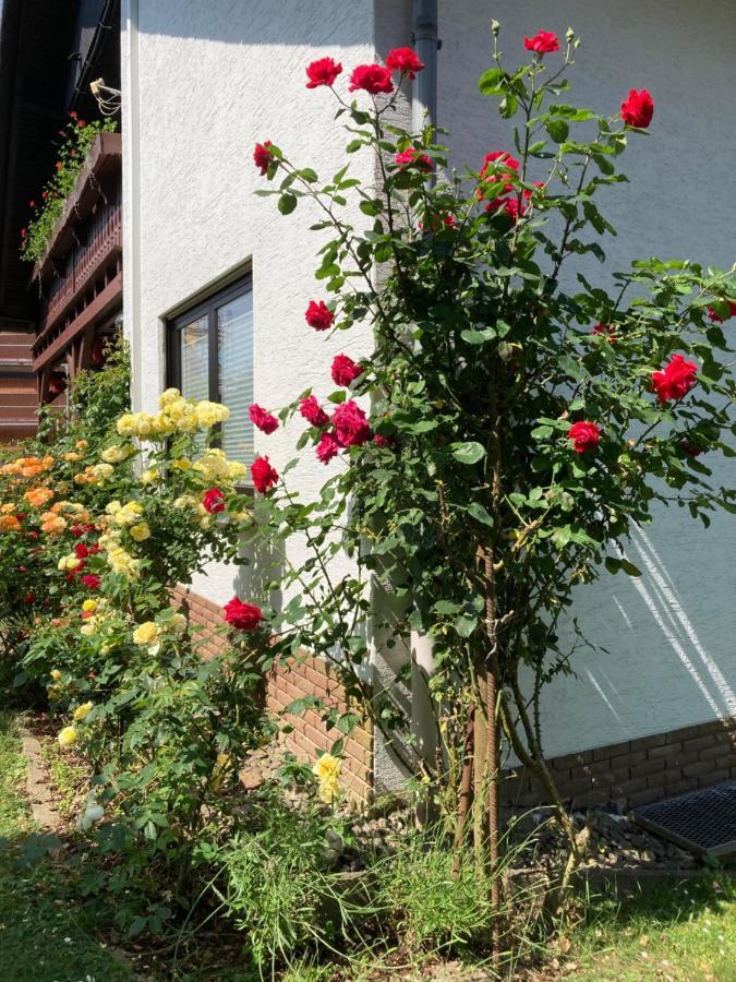 Ferienwohnung Rosengarten Osburg エクステリア 写真